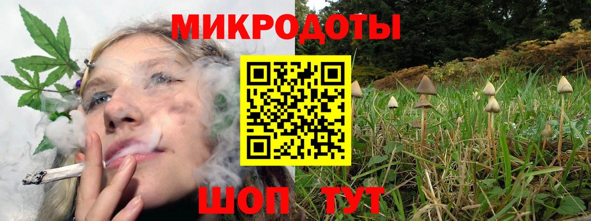 Псилоцибиновые грибы Magic Shrooms Апатиты