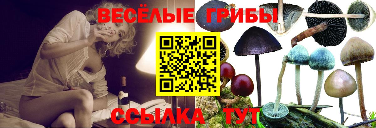 Галлюциногенные грибы мухоморы  Вход с VPN  Апатиты 