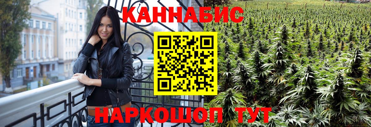 Конопля Bruce Banner  МАРИХУАНА гибрид  Конопля план  Вход с VPN  Канабис планчик  Апатиты 